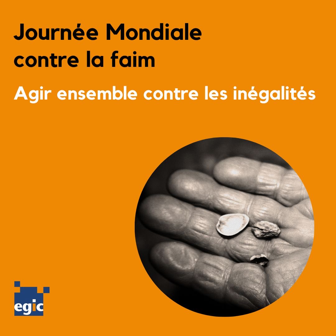 🍽️ EGIC vous rappelle que c'est la journée contre la faim !

#faim #inégalités #soutien