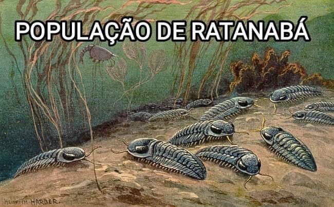 profgontijo's tweet image. 