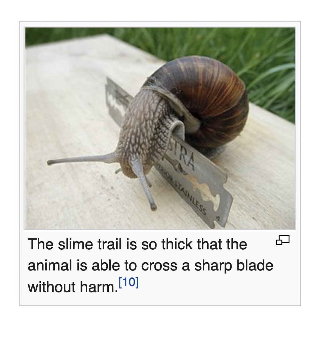 depthsofwiki's tweet image. 