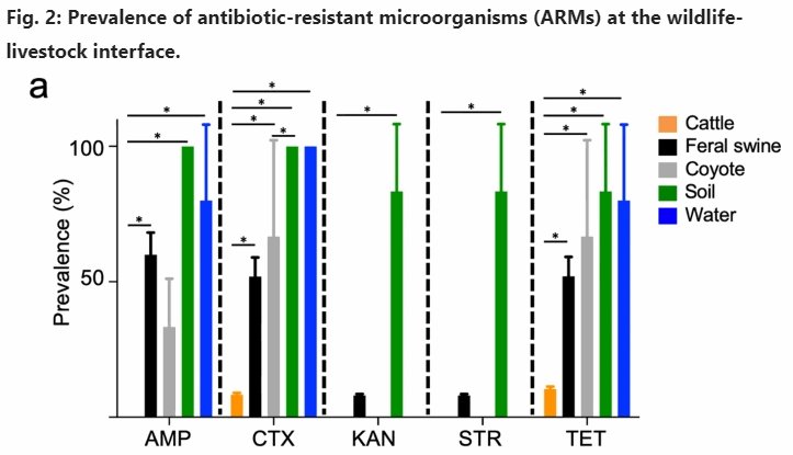 Excited to have this long in coming paper out...  

We found that feral swine and coyotes harbored more antibiotic-resistant microorganisms than sympatric cattle. 

Transmission of antibiotic resistance at the wildlife-livestock interface
nature.com/articles/s4200…