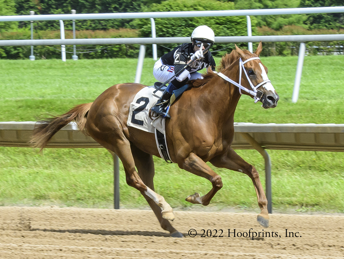 Maryland Thoroughbred tweet media