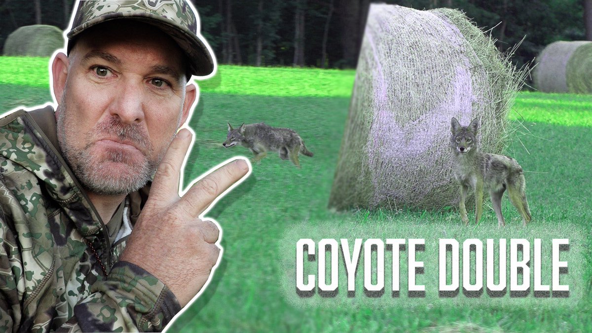 FOXPROInc's tweet photo. Fresh coyote vids are rolling out!!! Watch this awesome self-filmed double with Jon Collins!
Watch-> https://t.co/jhryHjotkS https://t.co/ZOjqXYgwsi