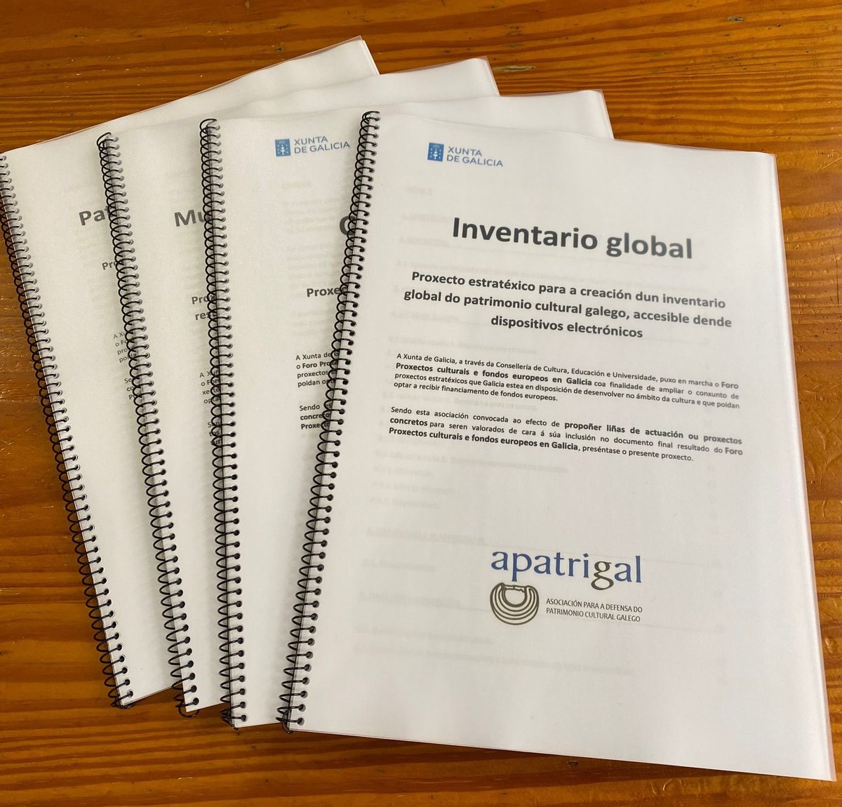 apatrigal's tweet photo. APATRIGAL presentou 4 proxectos, por importe total de 46.160.510 euros:

• Custodia rural
• Inventario global
• Patrimonio vitral
• Museo do esgrafiado 

Os 4 foron seleccionados pola Xunta 
@ampudia73 @Lixabier @lavozdegalicia @G24Noticias @GxDRadioGalega #NextGeneration https://t.co/G72HY0xJ57