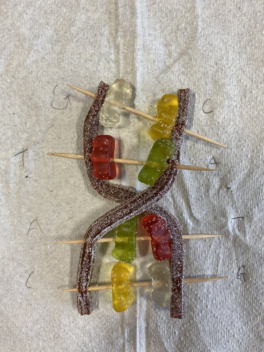 missturekbio's tweet photo. Is learning through sweets the best way to learn? 👀 https://t.co/QOjGMDsDEA