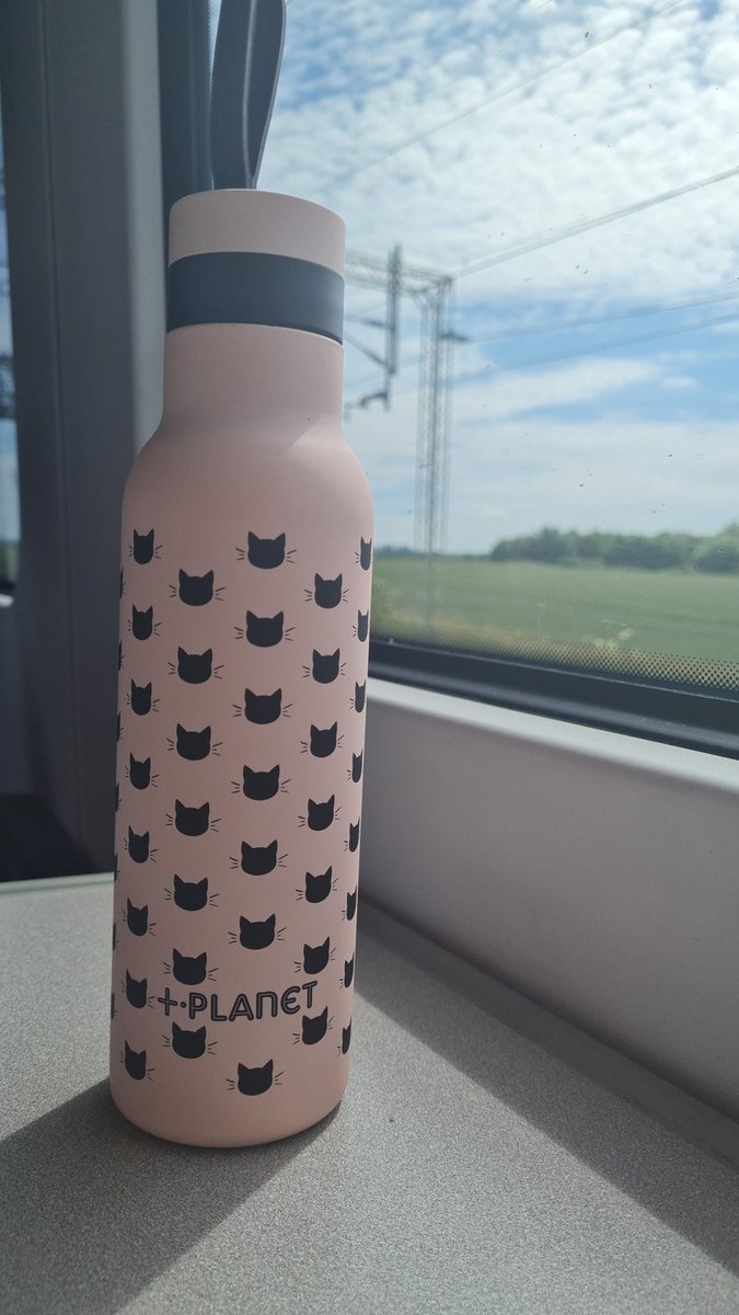 Heading into London and this is the perfect day to bust out my new water bottle curtesy of <a href="/AnnParry53/">Ann Parry</a> Its pink and has cats on it...what more do you need!! 🐱😊