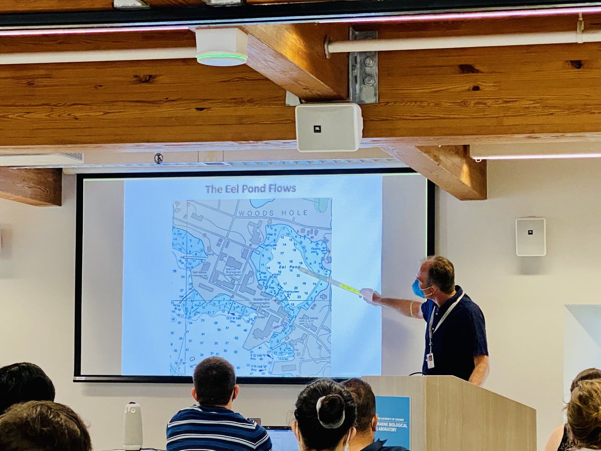 MblNeuro's tweet photo. Jon Sack takes us into section 2 of our course, Membrane Excitability and Calcium, giving his famous Eel Pond - Electrophysiology lecture 

⚡️⚡️⚡️ https://t.co/U3eo4xxVG3