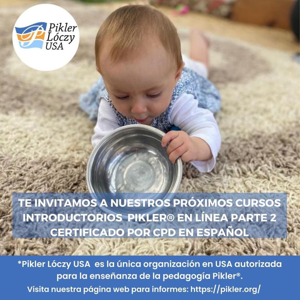 piklerus's tweet photo. Los invitamos a nuestros próximos cursos introductorios Pikler® Parte 2 en español (via Zoom) certificados por CPD con fecha del 4, 11 y 18 de septiembre de 12pm a 3pm PST California.

Visita nuestra página web para informes:
https://t.co/g98BU82BMT https://t.co/aYcwwDRyC7