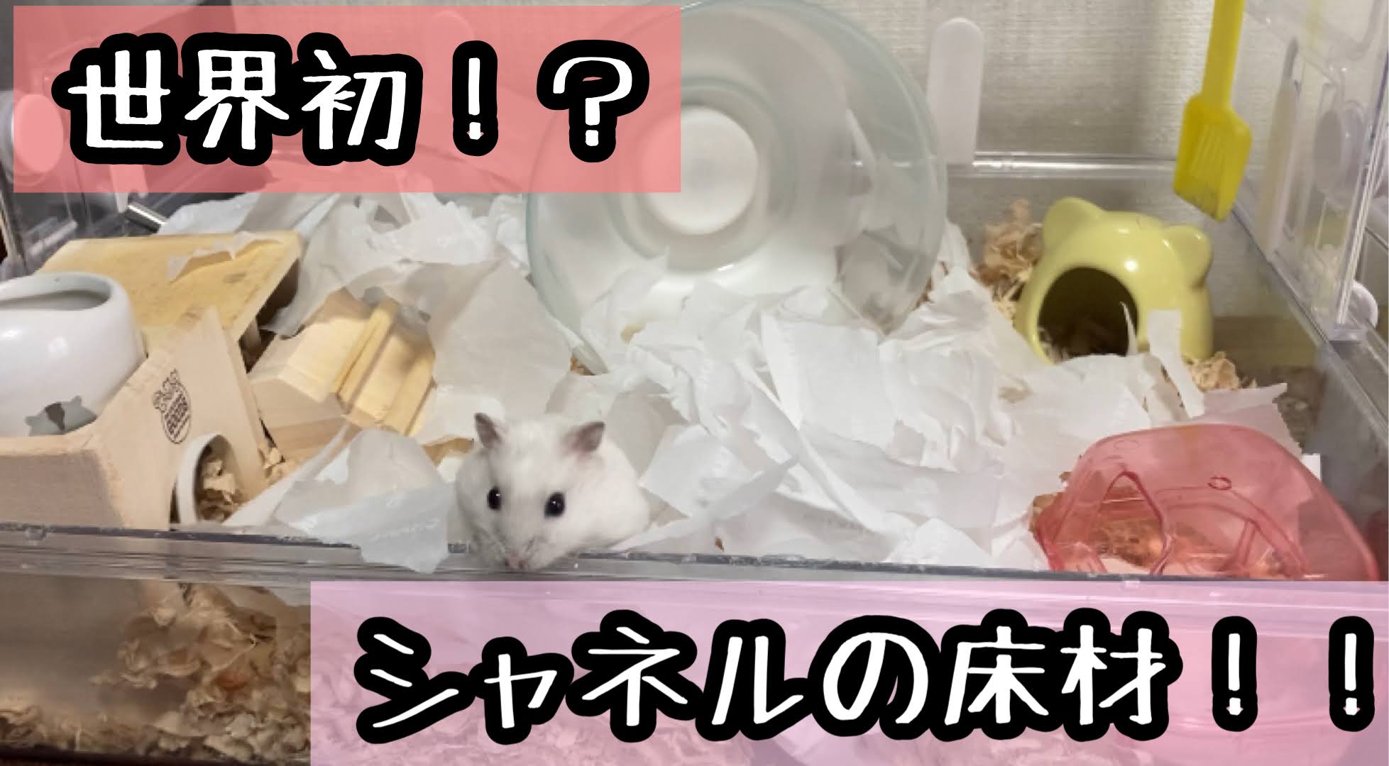 Qgkwnpdk Yrcgm