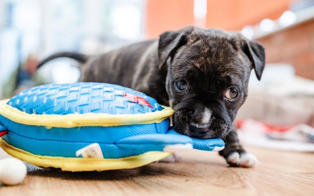 FlourishMarketing&PR tweet media