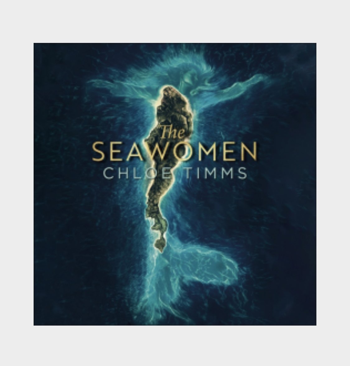 Chloe Timms tweet media