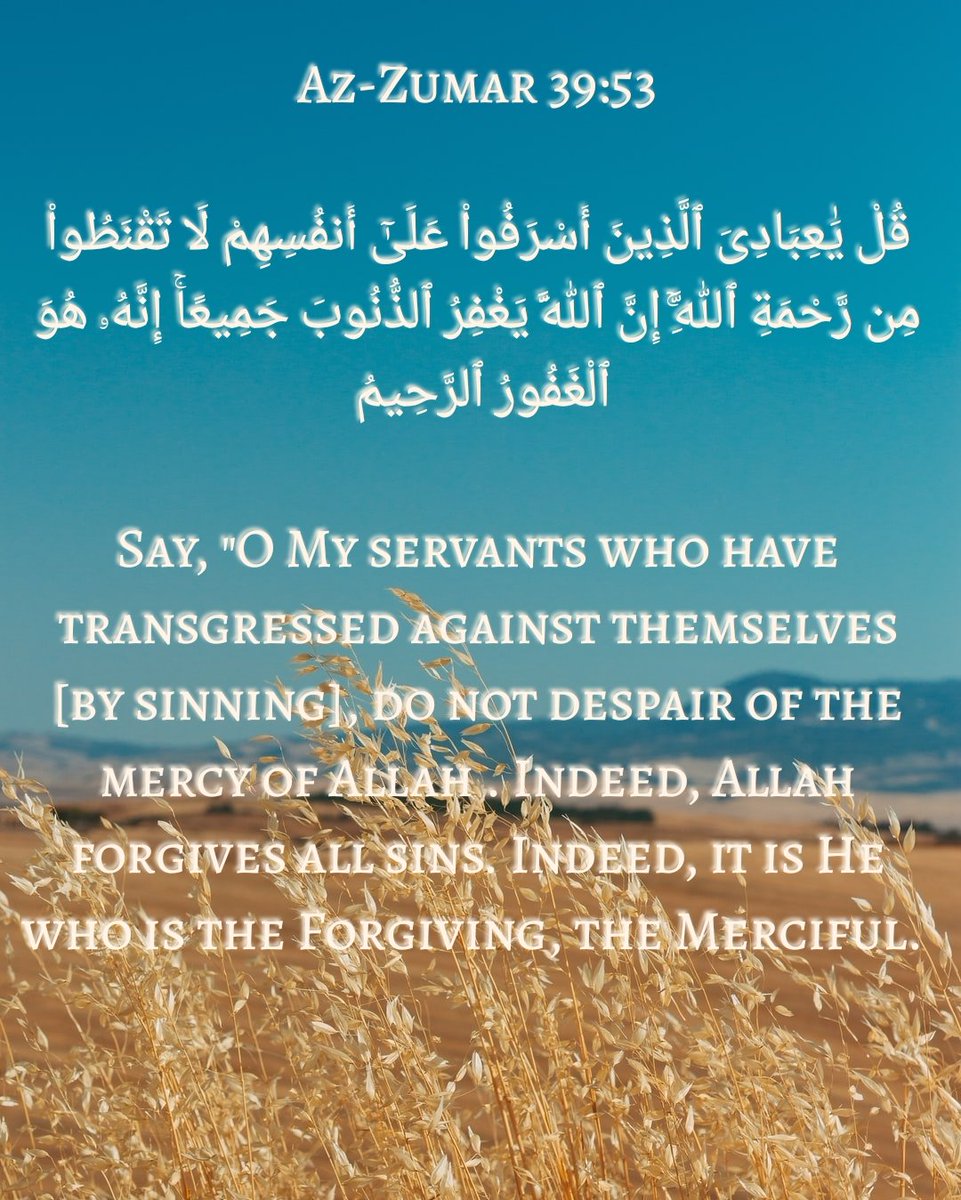 ShaheenaZohair's tweet photo. #prophetmohammed
#Taste_itsValues
@unlimited_abu https://t.co/CqptOjNIIy