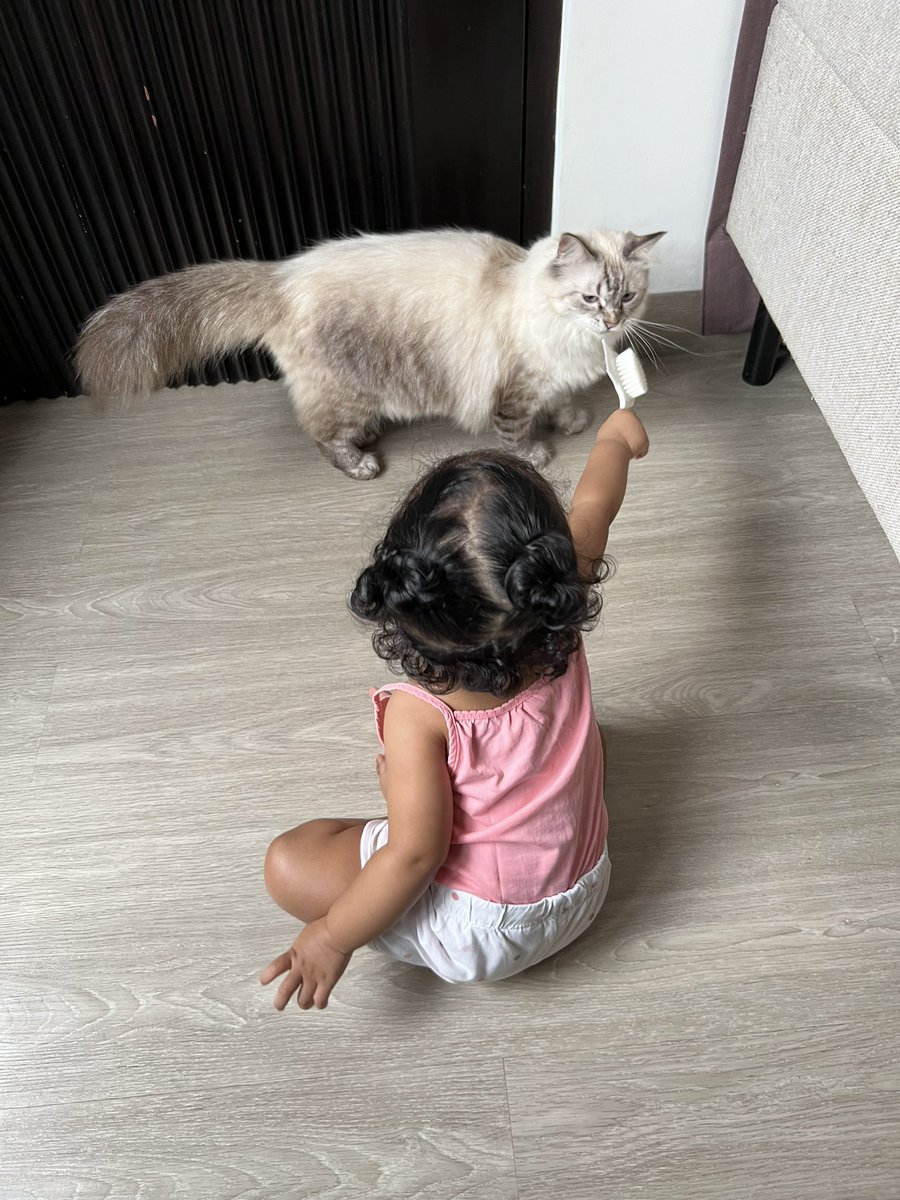tumishtucing's tweet photo. Udah lama bgt ga nampang krn Mam seebook.
Bebe udah gede 🥹
Kibo masih gembrot 🥲 https://t.co/vVfVpc1I28
