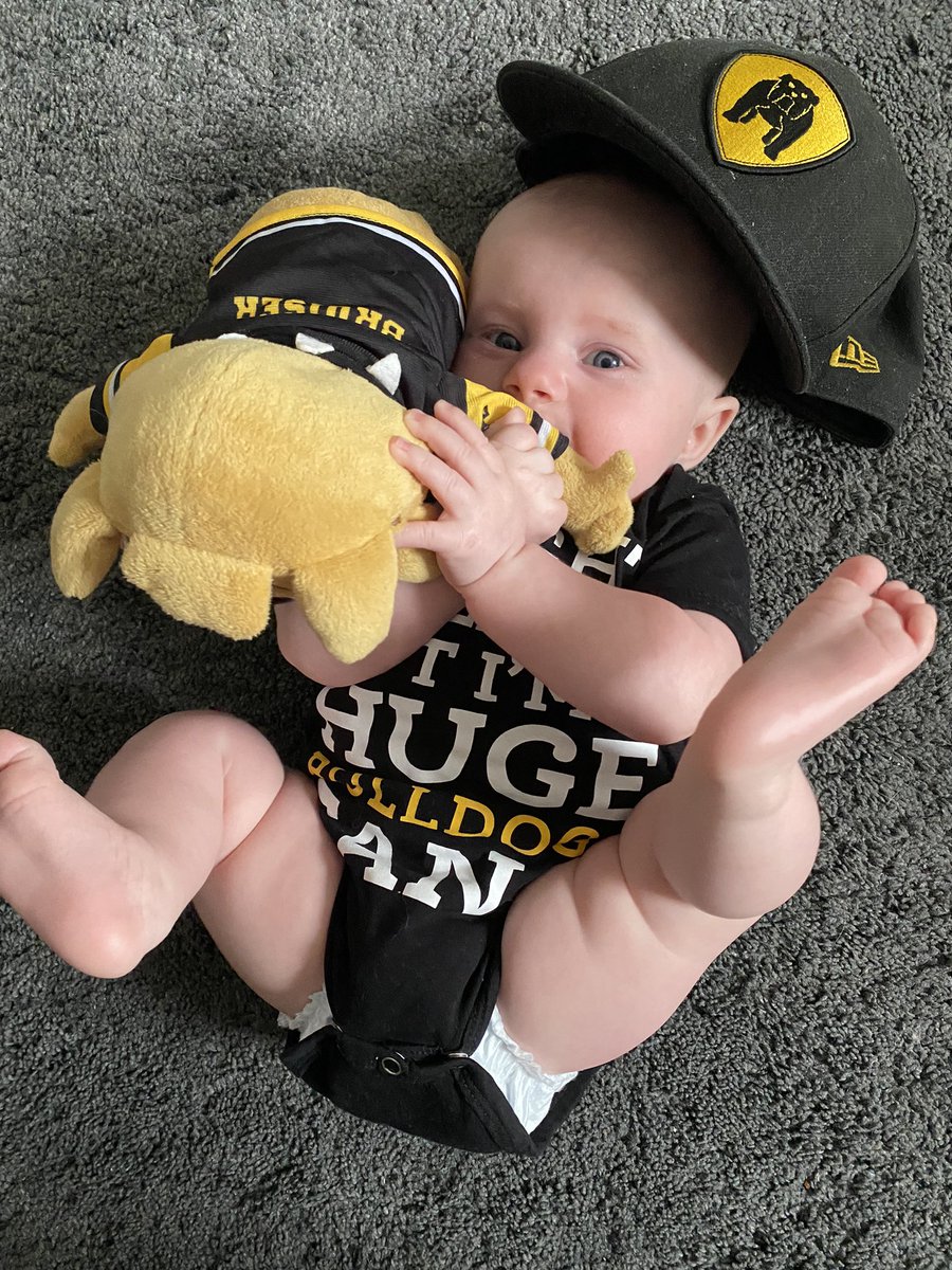 jess_ent12's tweet photo. Miss Parker is all ready to watch the @BulldogsOHL W I N Game 7 tonight of the @OHLHockey Championship series 🎉👏🏼 Let’s go Bulldogs! @PeggyChapman16 #DawgMentality #BeTheHammer 🔨 #HamONT 💛🖤 https://t.co/zzVgj73i6x