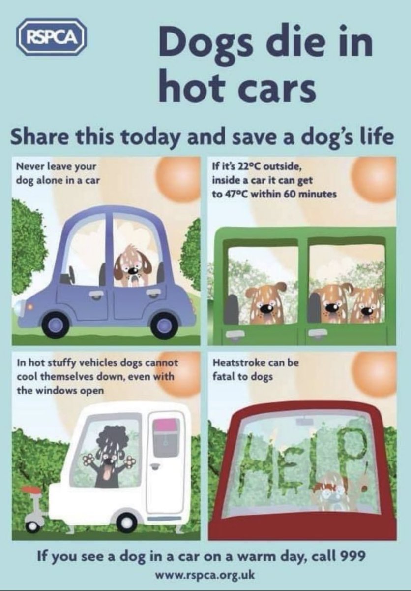 MPSHighBarnet's tweet photo. Never leave your dog alone in a car on a warm day. If you see a dog in distress, dial 999. Advice from the 
@RSPCA_official

can be found here: https://t.co/l3jE2ow4wI https://t.co/AsQYbWkdC8