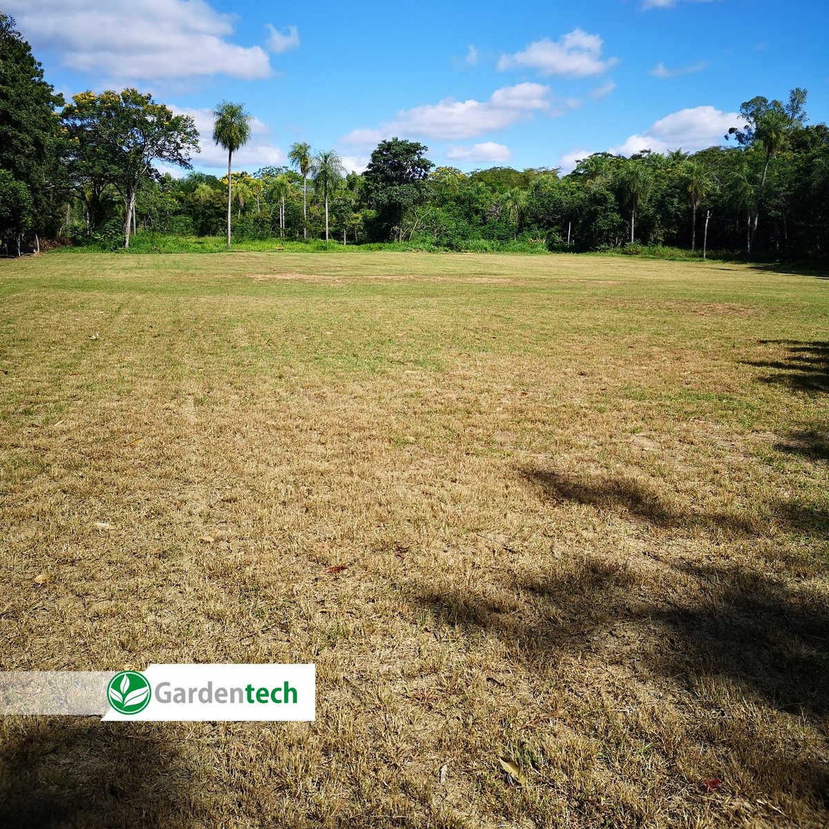 Gardentech tweet media