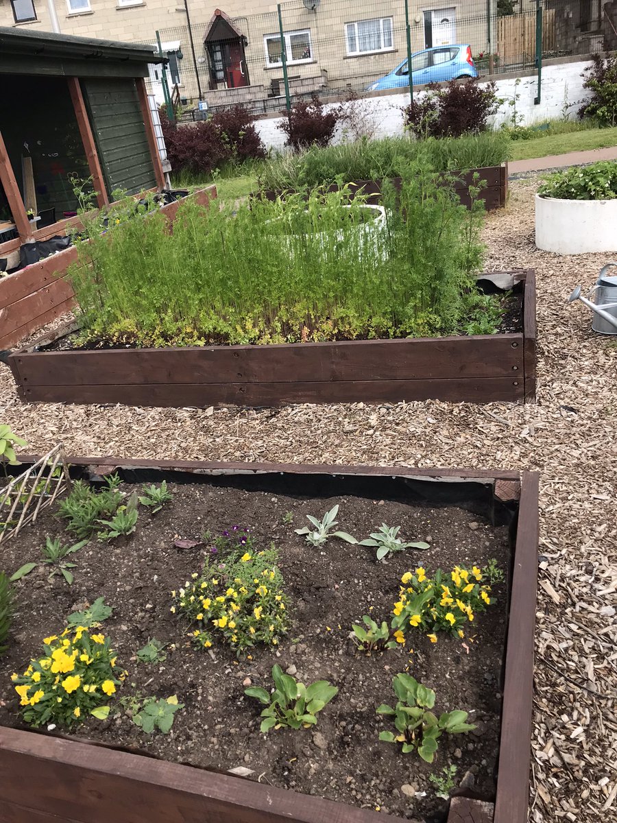 bernie_oneill4's tweet photo. Progress at community garden with help from D&amp;A College https://t.co/u9C1FJxH4Z