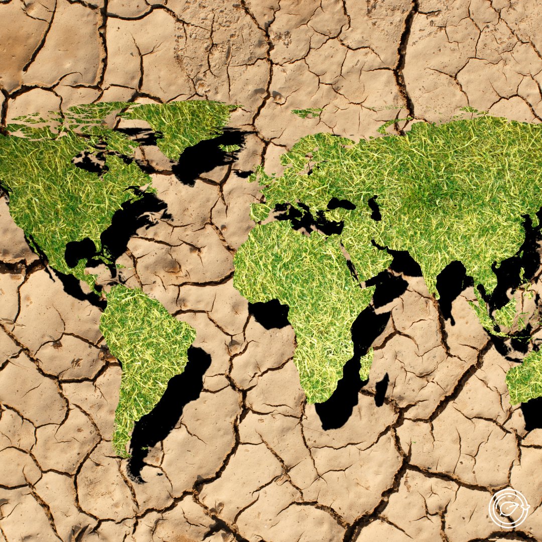 AGRO360rd's tweet photo. "Es fundamental invertir en la recuperación de nuestro planeta. Hagamos hoy de la tierra saludable el centro de toda nuestra planificación”. —  @antonioguterres

#WorldDaytoCombatDesertificationandDrought #DíaMundialdeLuchacontralaDesertificaciónylaSequía  #porunmundomejor https://t.co/jwq1Hmso0e