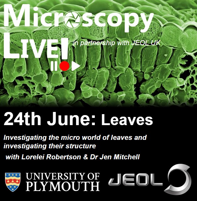 EMC_PlymUni's tweet photo. MicroscopyLive! returns on the 24th June 11am-12pm! Join Lorelei and Jen for a summer themed event, as they use #ElectronMicroscopy to explore the structure of different #Leaves! Free to attend, please register here: https://t.co/TFikhgLKtZ
#SciComm #Outreach #Biology #Microscopy https://t.co/kgLF5RryV8