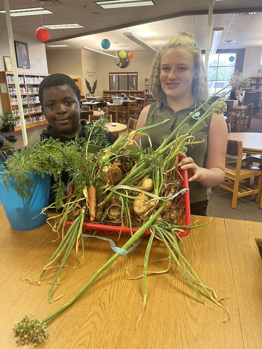 MiddleHudson's tweet photo. Wonderful Wednesday ‼️✨
Our STEM club is still hard at work with their garden. We look forward to transitioning to STEAM club, the A is for Agriculture. #BCSD #BHMS #Tier1Strong #READYtoROAR https://t.co/icYMaLL0gF