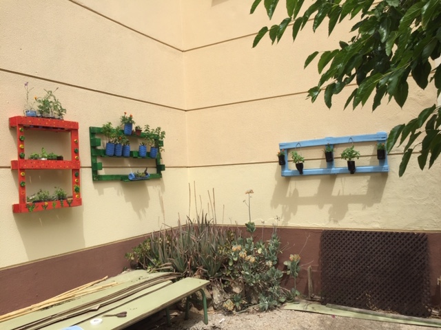 IESAlbertiCadiz's tweet photo. Ya tenemos sitio para nuestros jardines verticales. Un trabajo en equipo: 4º #ESO tecnología y #FPBE semilleros. #ProEdAldea https://t.co/RS6QtCgY4k