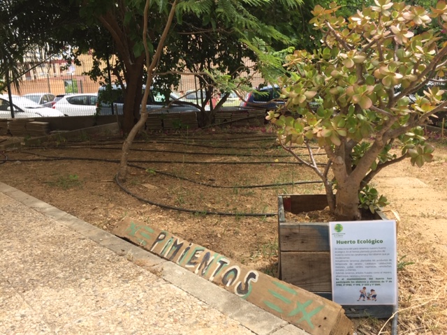 IESAlbertiCadiz's tweet photo. Ya tenemos sitio para nuestros jardines verticales. Un trabajo en equipo: 4º #ESO tecnología y #FPBE semilleros. #ProEdAldea https://t.co/RS6QtCgY4k