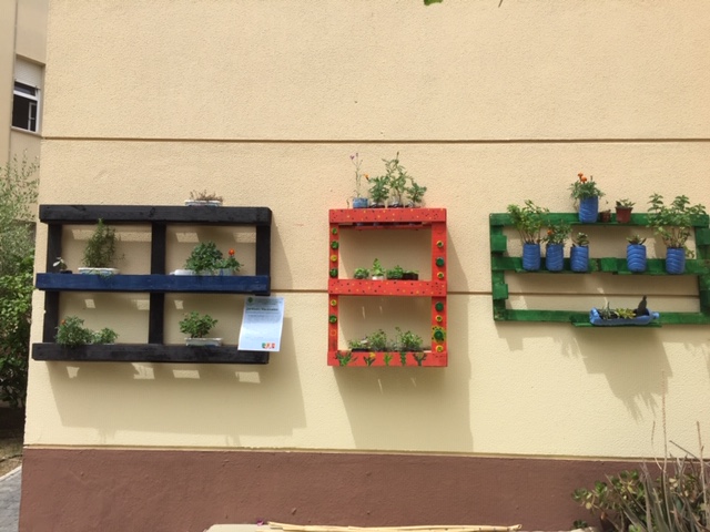 IESAlbertiCadiz's tweet photo. Ya tenemos sitio para nuestros jardines verticales. Un trabajo en equipo: 4º #ESO tecnología y #FPBE semilleros. #ProEdAldea https://t.co/RS6QtCgY4k