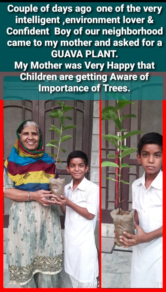 drjeetenderpau's tweet image. Hello Friends,
A Couple of days ago one of the Very Intelligent,Environment Lover &amp;amp; Confident Boy of our neighborhood  came to My Mother and asked for a GUAVA PLANT.

My Mother was Very Happy that Children are #GettingAware of #ImportanceOfTrees

#EveryDayPlantOneSapling
#GoGreen