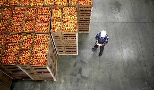 NovozymesNA's tweet photo. Seeking to reduce food waste and improve post-harvest produce quality, @Novozymes and @AgroFreshWorld partner to explore the development of biological solutions. Read more here: https://t.co/a9rVh2CP3p #FoodWaste #HealthyProduce #BioAg #agriculture #Biotechnology https://t.co/z6qFtRdKNa