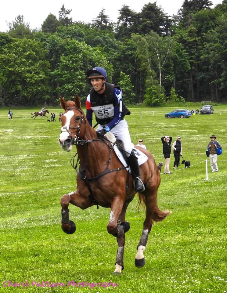 cherylpattison2's tweet photo. Brill day out at Bramham horse trials at the weekend.
#bramhamhorsetrials #nikon #cherylpattisonphotography https://t.co/xwm6fCveA4