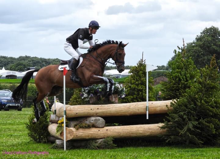 cherylpattison2's tweet photo. Brill day out at Bramham horse trials at the weekend.
#bramhamhorsetrials #nikon #cherylpattisonphotography https://t.co/xwm6fCveA4