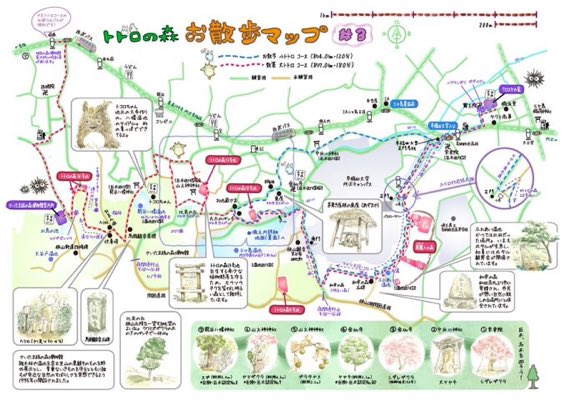 CINEMANIAX2002's tweet photo. 【イベントのお知らせ🌟】
「となりのトトロ」鑑賞後、トトロの森へ探検にくりだそう！

日時:6月18日（土）13時～18時
場所:所沢キャンパス お散歩小トトロコース

雨の場合は探検は無しで、も��1本ジブリ作品の映画を見ます！

サークルに���加入の方の参加も大歓迎🥰参加したい方はDMしてください💌 https://t.co/iXEQhaeS8n