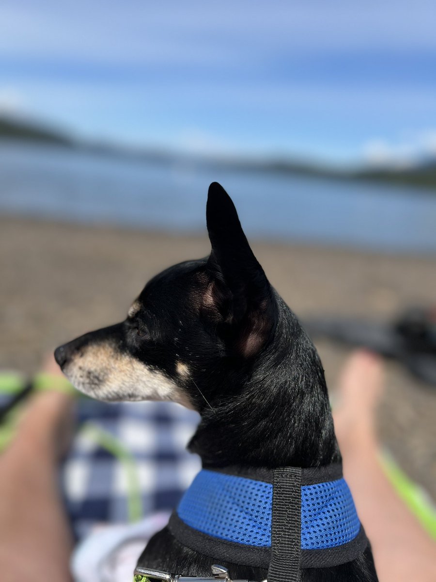 Sometimes you need to just take time to yourself….okay and share the day with your dog because he is the best listener #selfhealing #Beachtime