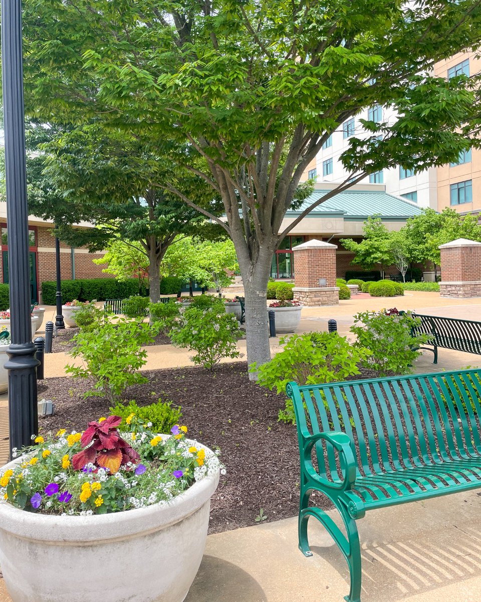 The SCCC is in full bloom for #NaturePhotographyDay! 🌷🌳🌞