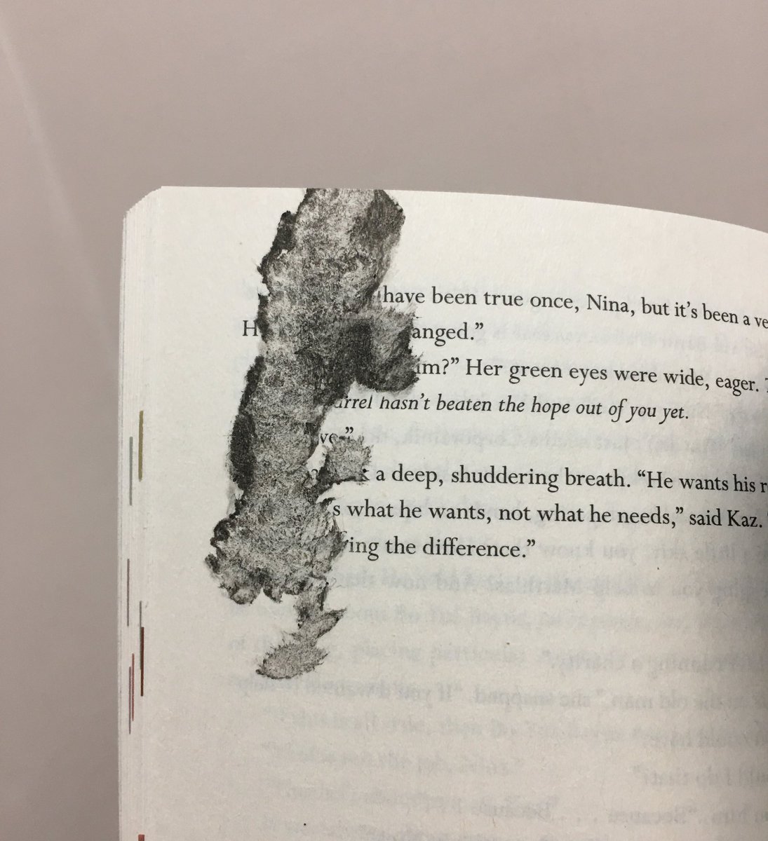 WHAT IS THIS THING IN MY BOOK AND HOW DID IT GET THERE