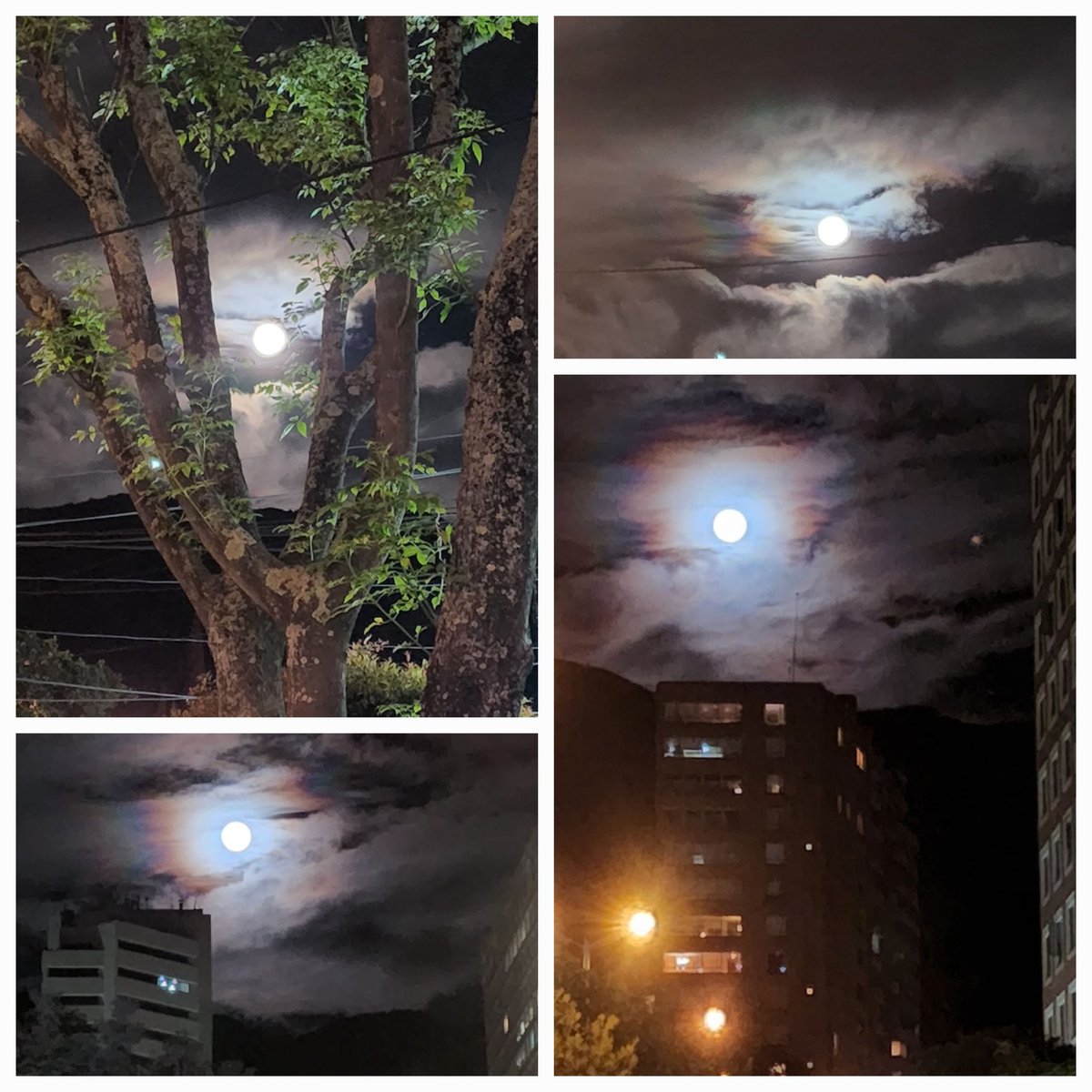 sadoth's tweet photo. Al Mirar La Luna de anoche, la misma que alumbra a todo el planeta, se nota absoluto derroche, con un mensaje del divino profeta.
#selenofilia #rima #picoftheday #amll https://t.co/BwCp81Cynj
