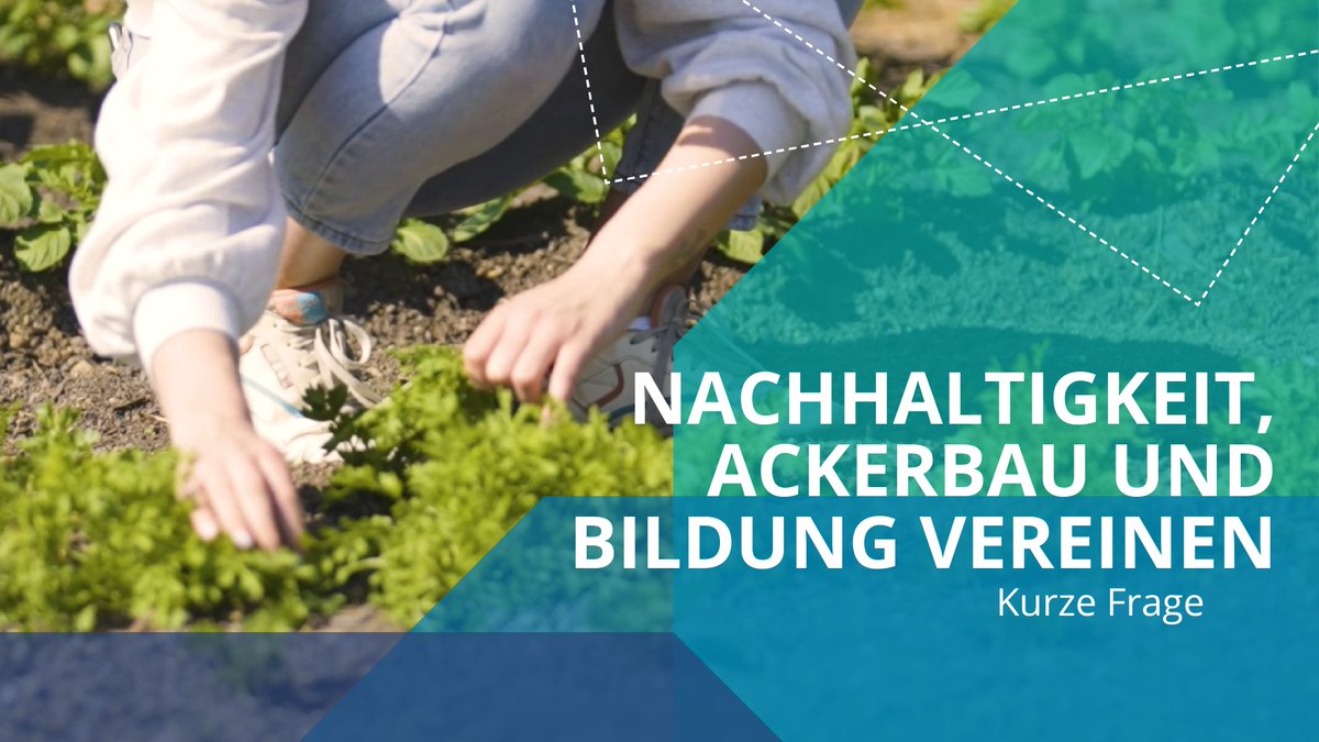 Schon mal was vom #Campusacker gehört? 🥕 Die »Kurze Frage« war zu Besuch im Botanischen Garten, wo sich Lehramtsstudierende ganz praktisch mit den Themen Nachhaltigkeit &amp; Nahrungsmittelanbau beschäftigen. Zum Video mit Jun.-Prof. Jana Markert ➡️ youtu.be/5oIF4x8rHdY