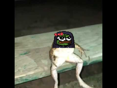 Magidarp's tweet photo. @13sleeps @Darkfarms1 Free mint frog vibes only @realderplife https://t.co/09qft9geqT