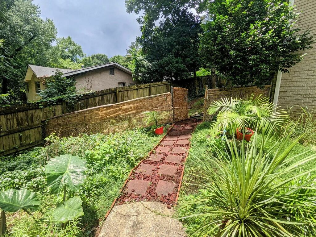 M_C_Mahalo's tweet photo. You cannot over water when it's 100° degrees every day 🥵🌴
.
#stopthemadness #100degrees #heatwave #gardeningYou cannot over water when it's 100° degrees every day 🥵🌴
.
#stopthemadness #100degrees #heatwave #gardening https://t.co/QjGx7gVQrx
