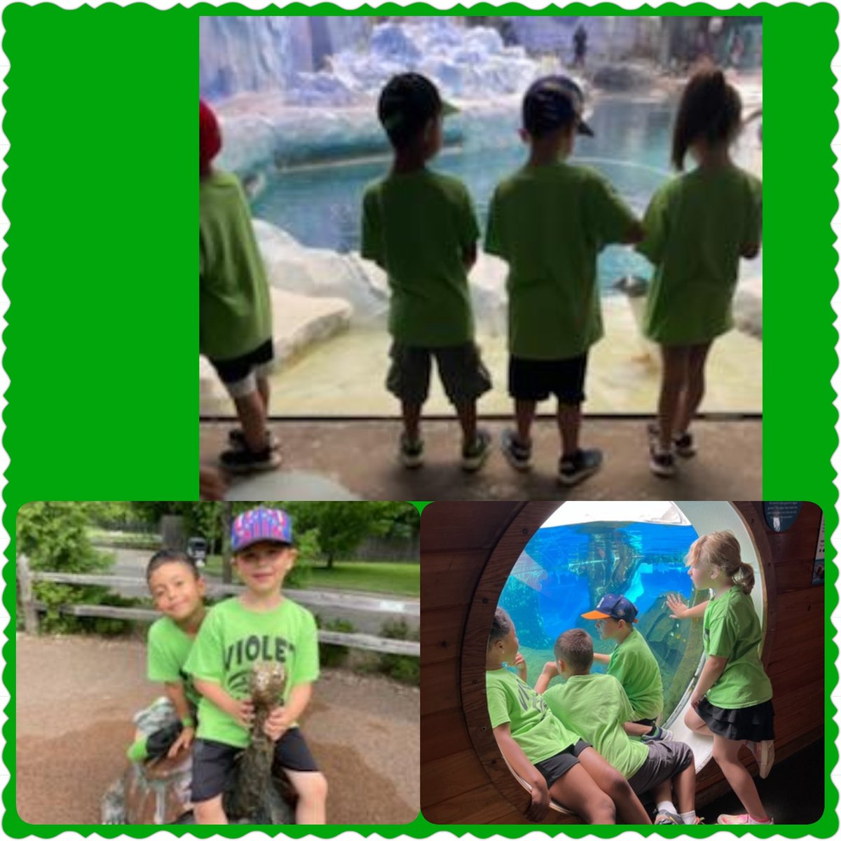 1st grade a fantastic day at the zoo!!! <a href="/myLSPS/">Lake Shore Public Schools</a> <a href="/VioletAllStars/">Violet Elementary School</a>