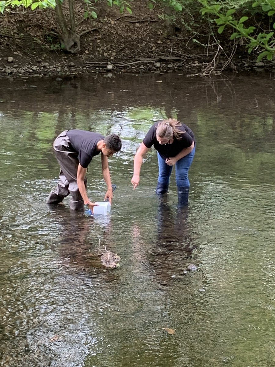 MrsKPovinelli's tweet photo. Releasing the Rainbow Trout 🐟 https://t.co/6l3BNFt7Sw