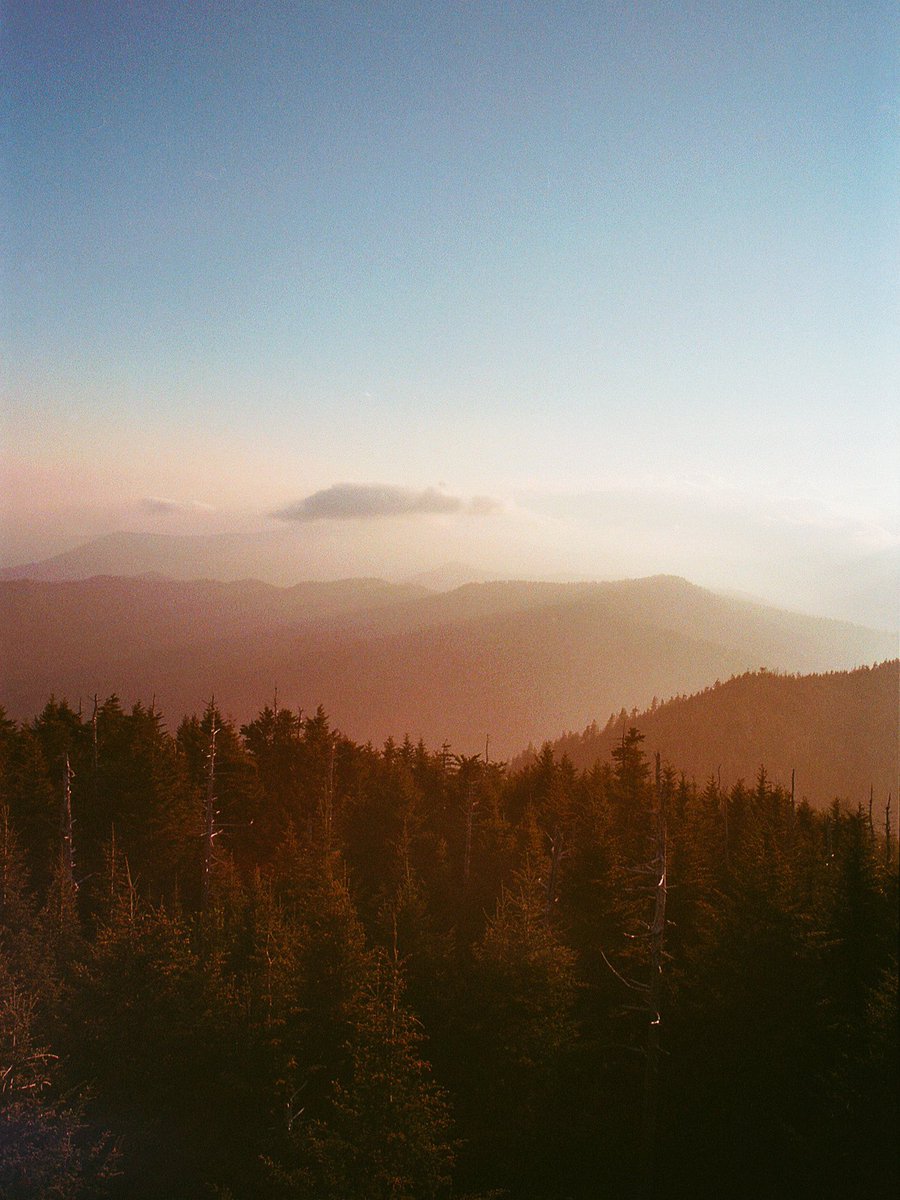 nev_in_color's tweet photo. sunrise on 35mm 🎞 https://t.co/flxOV2uUCS