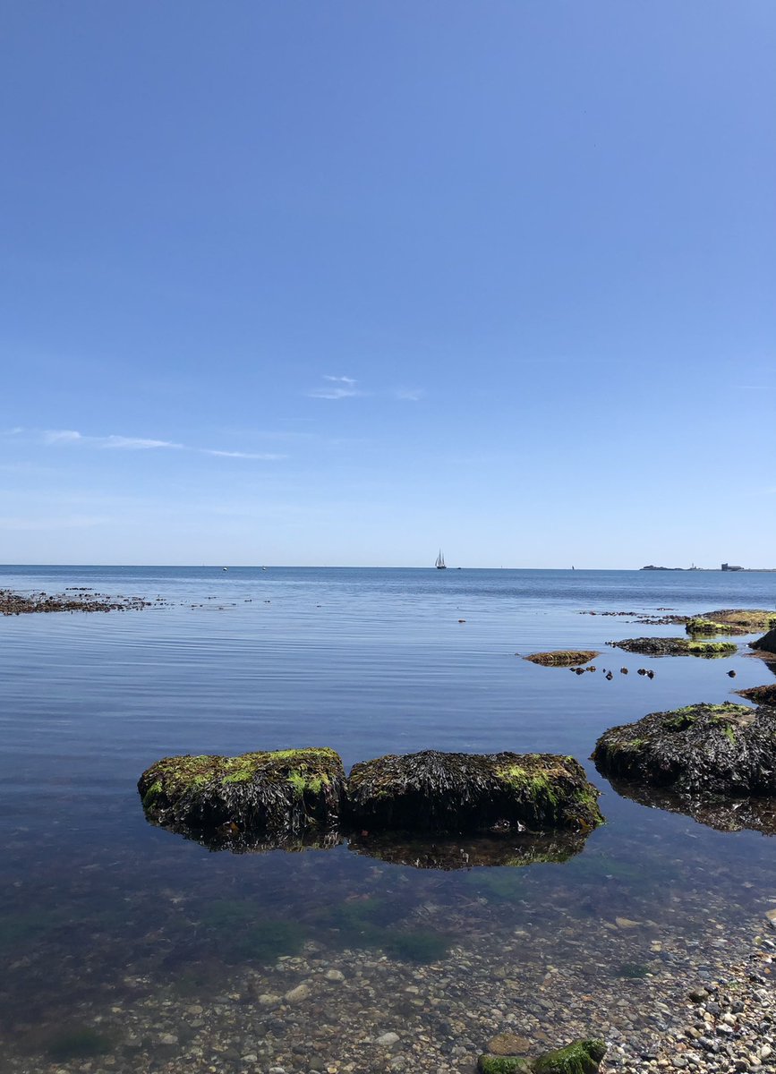 happyhillers's tweet photo. Several sweeps picking up #litter #rubbish on my favourite #StonePierBeach #Weymouth it was very hot and like a millpond #fishingline #cableties #rope #plasticbits #razor #sock 🤷🏻♀️ @LitterFreeDrst @KeepBritainTidy https://t.co/CidmJUvAw4