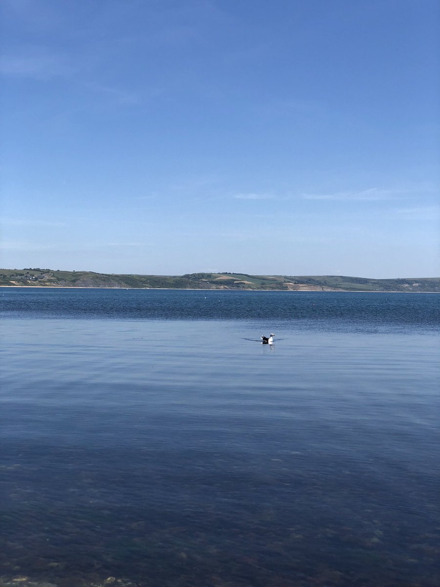 happyhillers's tweet photo. Several sweeps picking up #litter #rubbish on my favourite #StonePierBeach #Weymouth it was very hot and like a millpond #fishingline #cableties #rope #plasticbits #razor #sock 🤷🏻♀️ @LitterFreeDrst @KeepBritainTidy https://t.co/CidmJUvAw4
