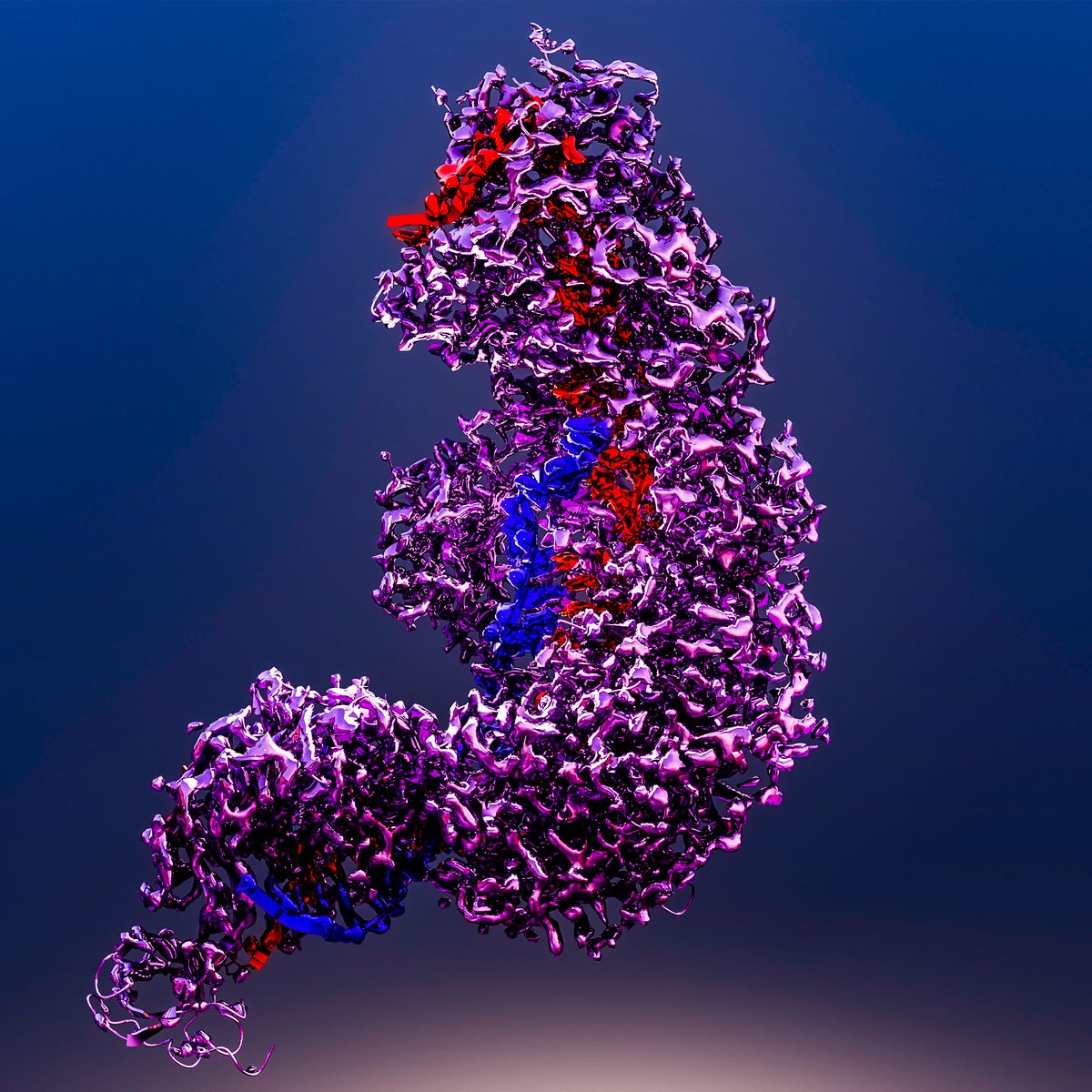 EMDB_EMPIAR's tweet photo. Released @EMDB_EMPIAR & @PDBeurope, & published @CellCellPress, the stunning 2.45 Å #SingleParticle #CryoEM structure of the Desulfonema ishimotonii Type III-E #CRISPR-Cas effector #Cas7-11 in complex with a crRNA & its target #RNA; a next generation #RNAtargeting CRISPR tool
1/2 https://t.co/xGYa5aiO2f