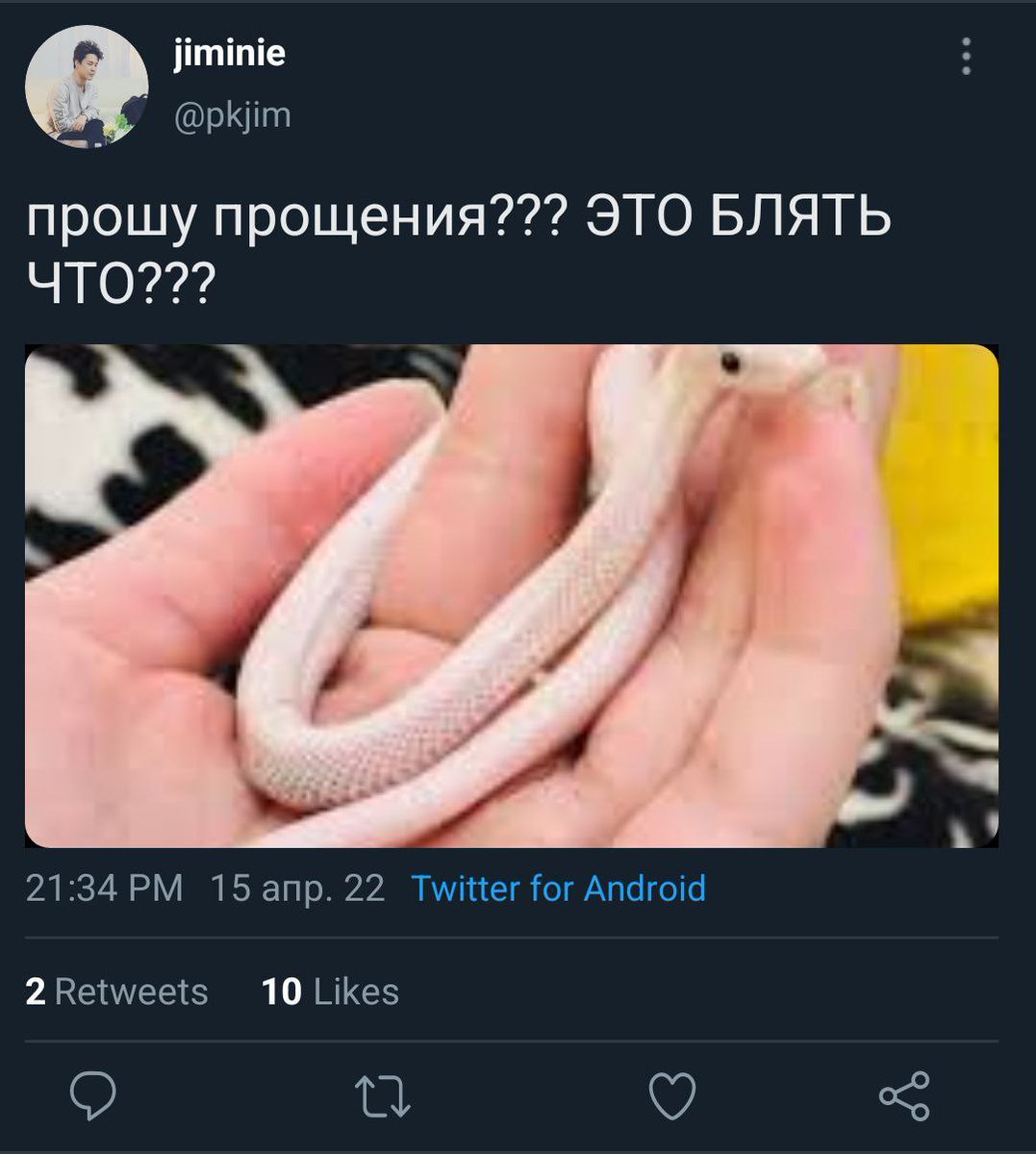 Dzhusau's tweet photo. #jikookau в котором у Чонгука сбежала самая агрессивная змея, а на��ёл её Чимин и Чонгук пропал в нем https://t.co/LLsUPj9KH8