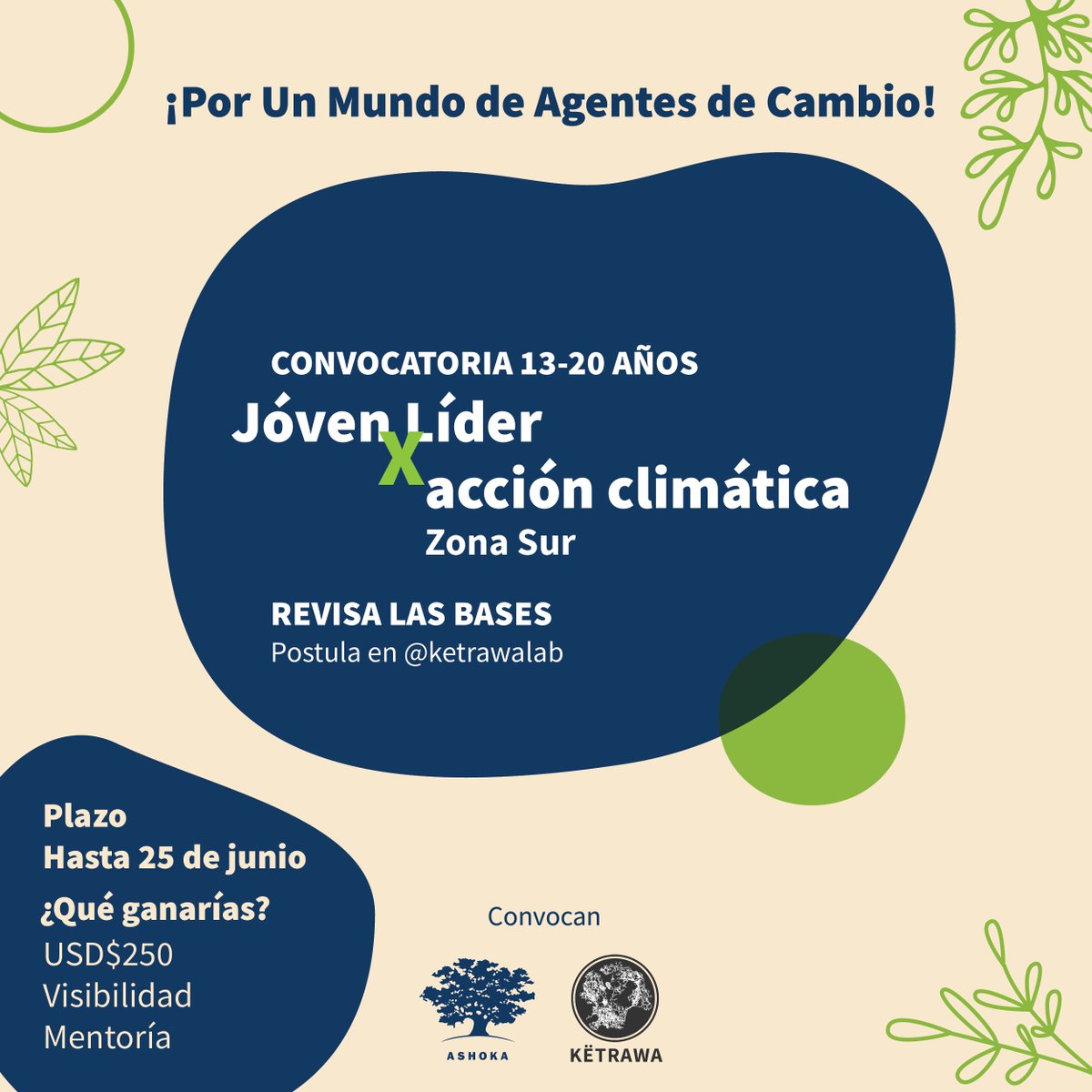 Ashoka Chile (@ashokachile) on Twitter photo 