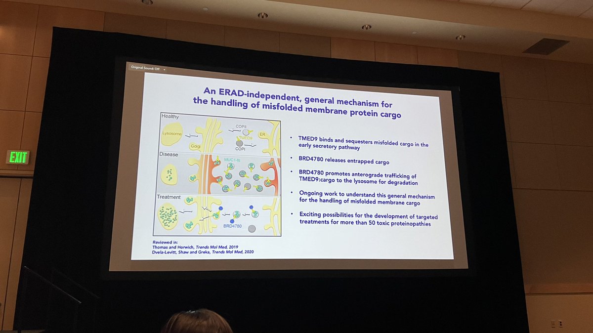 m_konigshoff's tweet photo. Day 3 of #KSTissueRepair starts with a beautiful talk by @AnnaGreka about therapies targeting fundamental mechanisms involved in proteinopathies #kidneydisease #pulmonaryfibrosis https://t.co/0HbYO9eAos