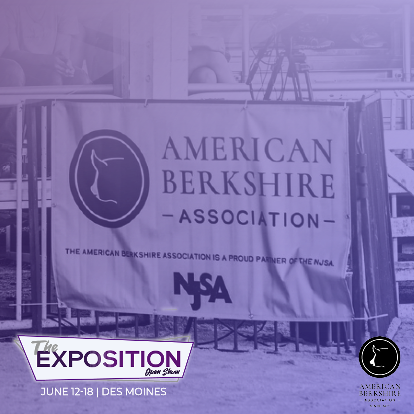 The Exposition is in full swing with a lot of NJSA events going on. We'd like to remind all open exhibitors that entries must be in the barn by tomorrow at 11am.

Find the full schedule and other Expo info at: americanberkshire.com/the-exposition/

#AmericanBerk