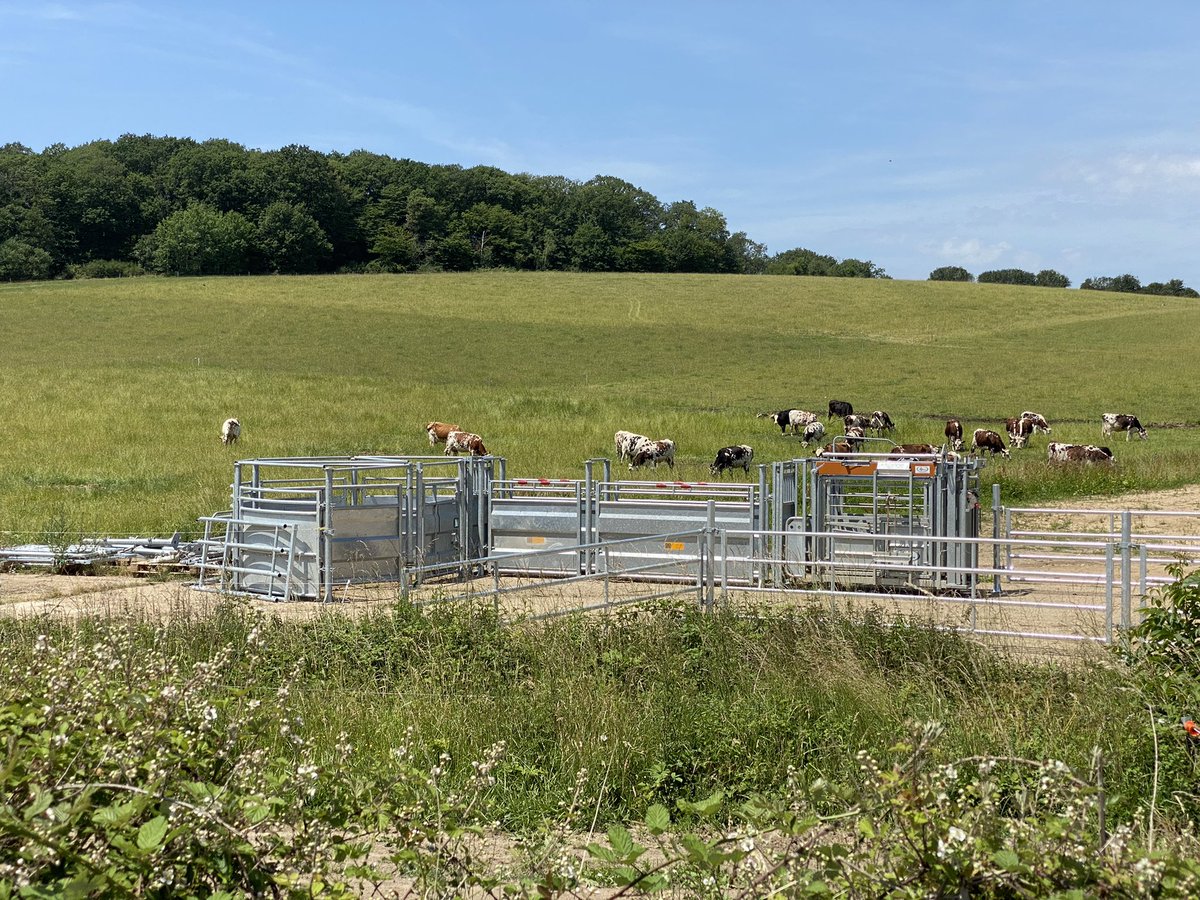 schelcher's tweet photo. Visite aujourd’hui d’Hectar dans les Yvelines. Bien plus qu’un campus de formation agricole, c’est une ferme pilote sur 600 ha et un écosystème qui part de l’humain pour attirer de nouveaux profils vers l’agriculture. Une démarche innovante. Bravo @A_Bourolleau ! cc @KM0_info https://t.co/BNlytWgOoK