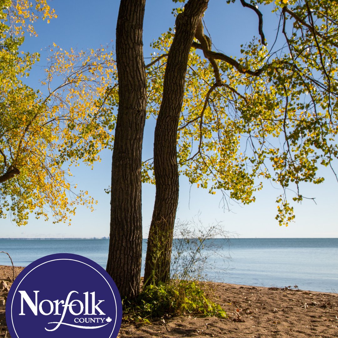 Norfolk County Econ Dev 🇨🇦 tweet media